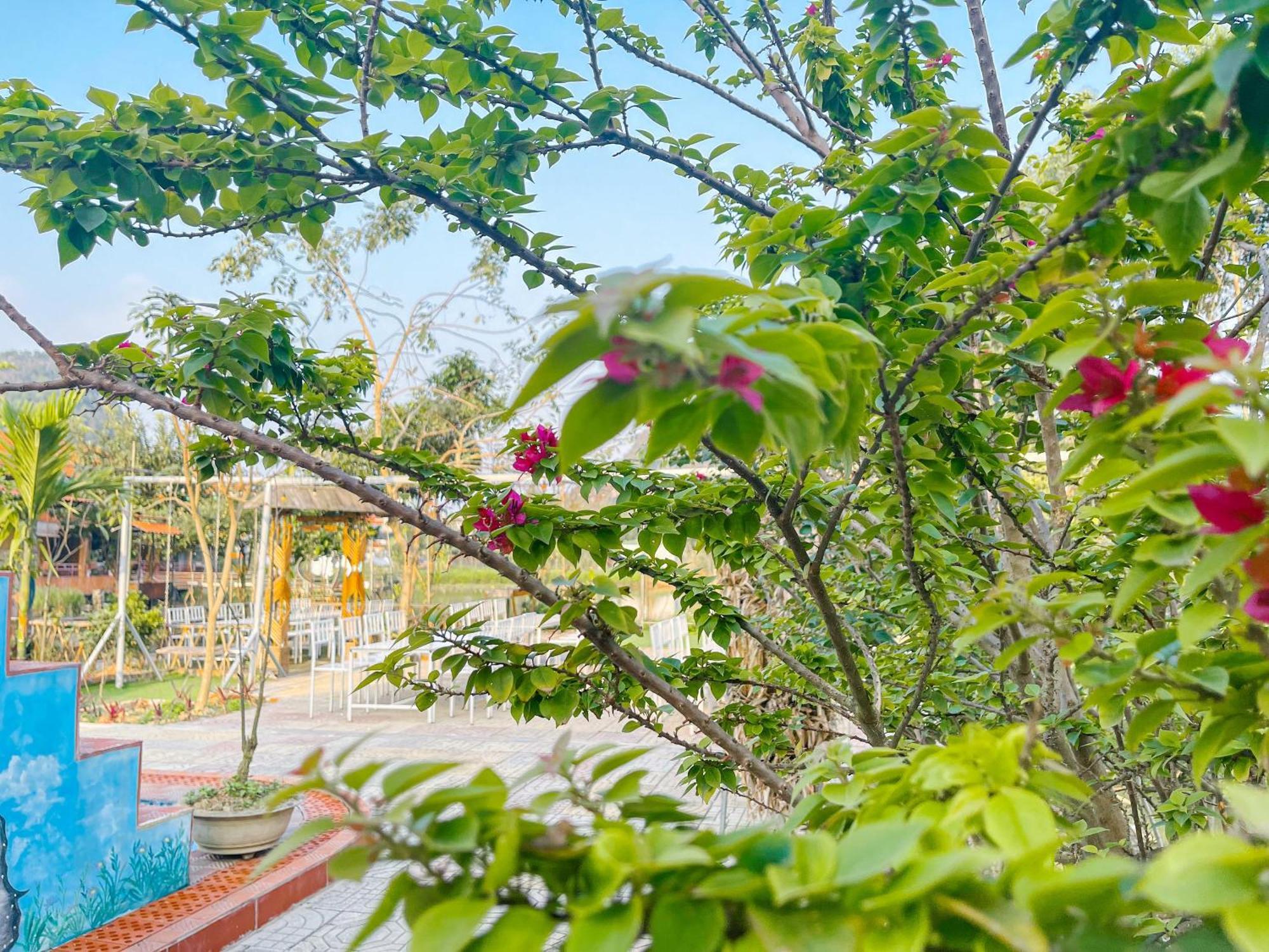 Trang An Quynh Trang Happy Homestay & Garden Ninh Binh Exterior photo