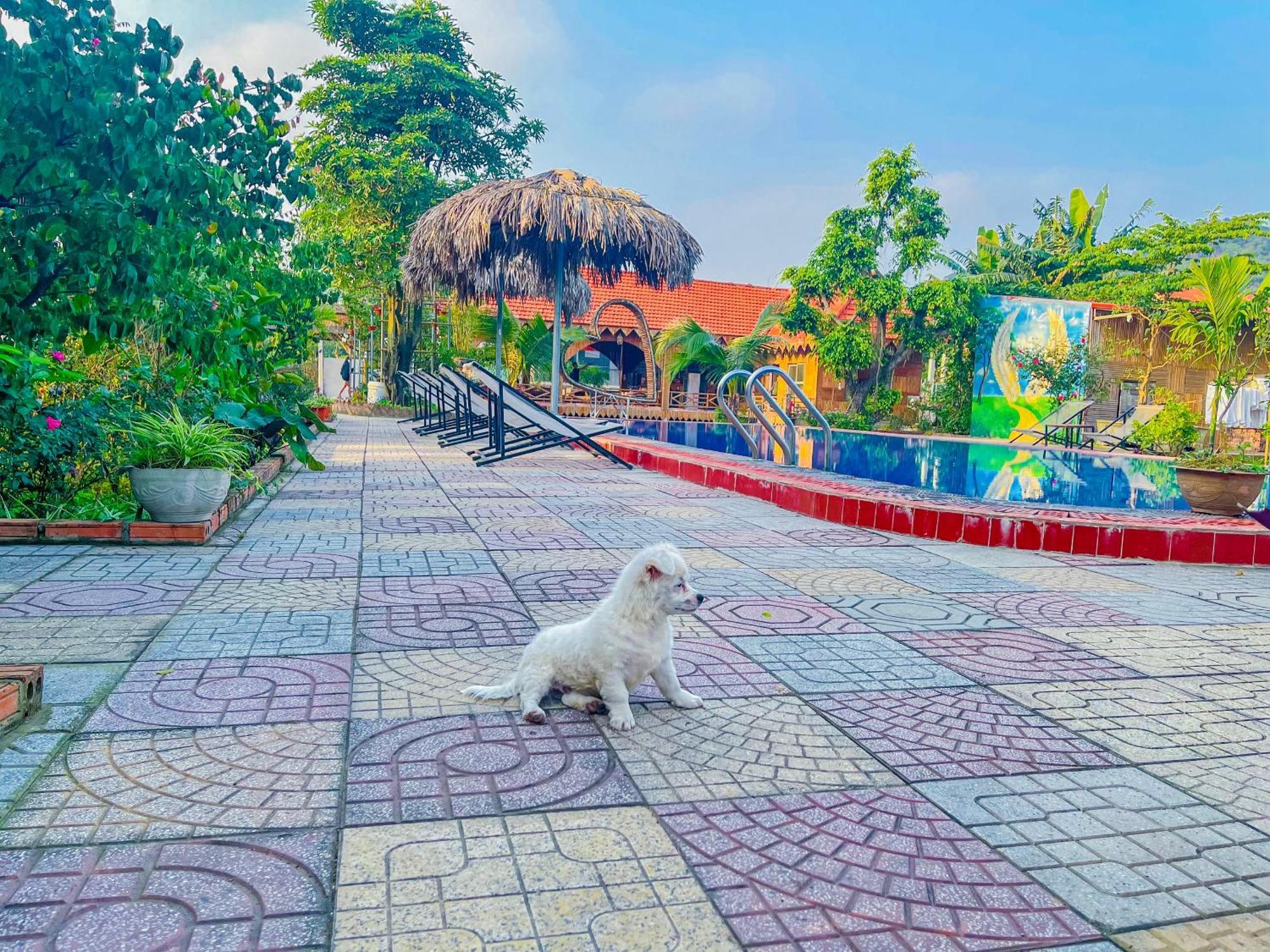 Trang An Quynh Trang Happy Homestay & Garden Ninh Binh Exterior photo
